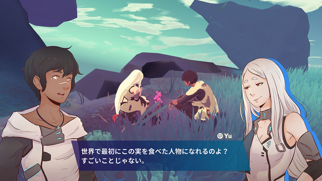 Haven ヘブン 北米版 switch ニンテンドースイッチ 『Haven』Switch