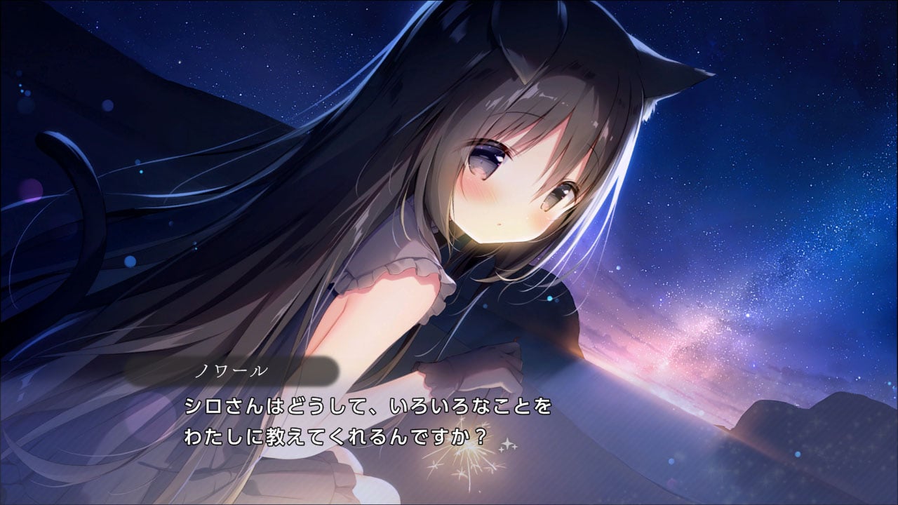 星空鉄道とシロの旅 俺のSwitchメモ