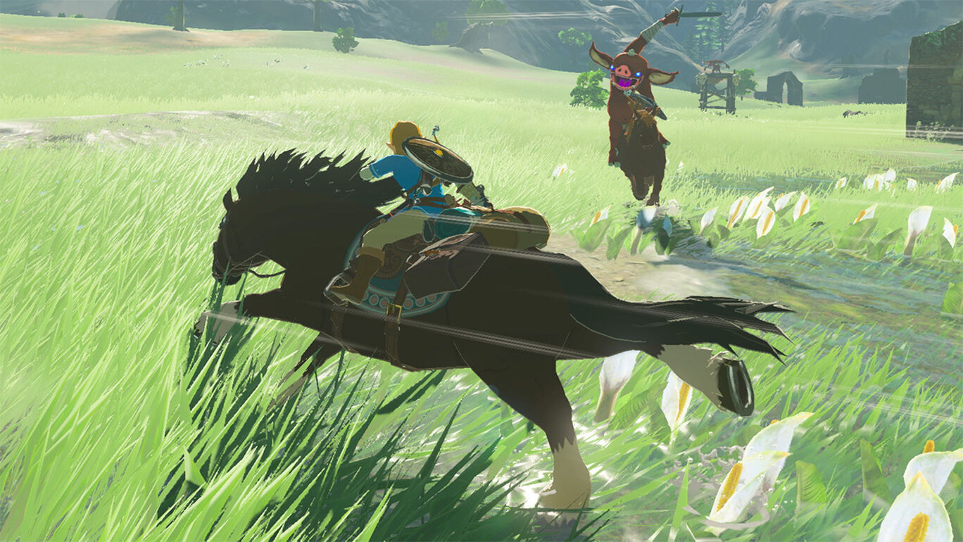 ゼルダの伝説 ブレス オブ ザ ワイルド ＋ エキスパンション・パス セット 俺のSwitchメモ